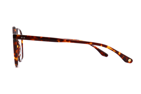 LT12 ALMA col.Tortoise